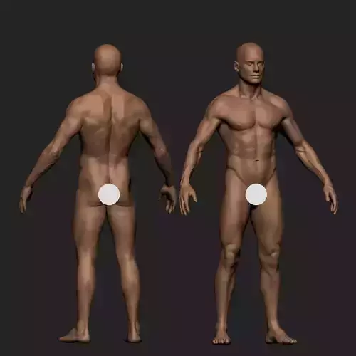 Realistic Male Body