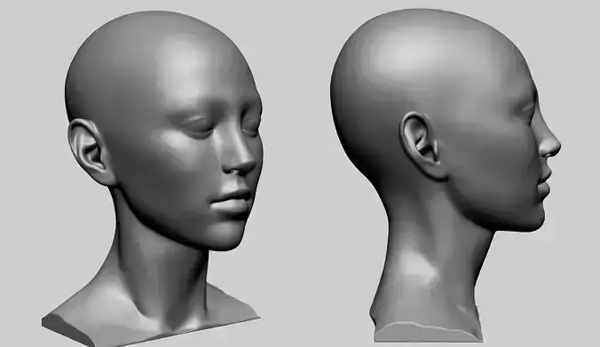 Base Female Head F 3D model