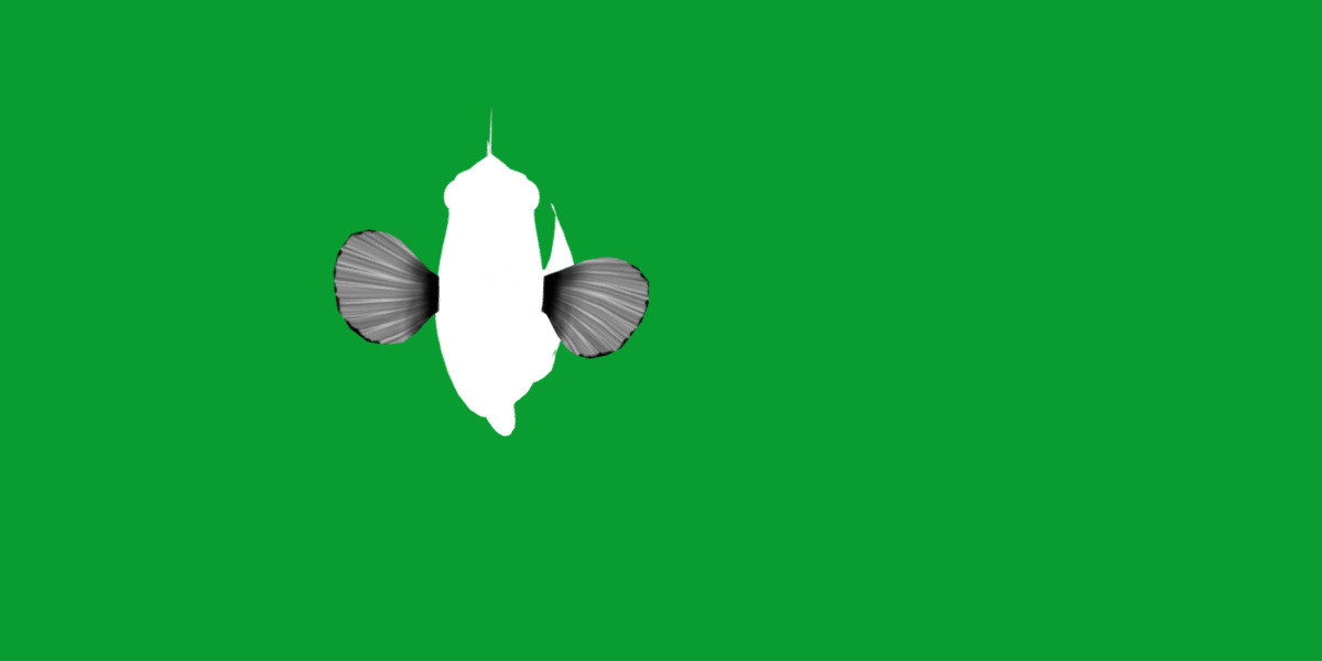 Clown Trigger Fish Low-poly 3D model_7