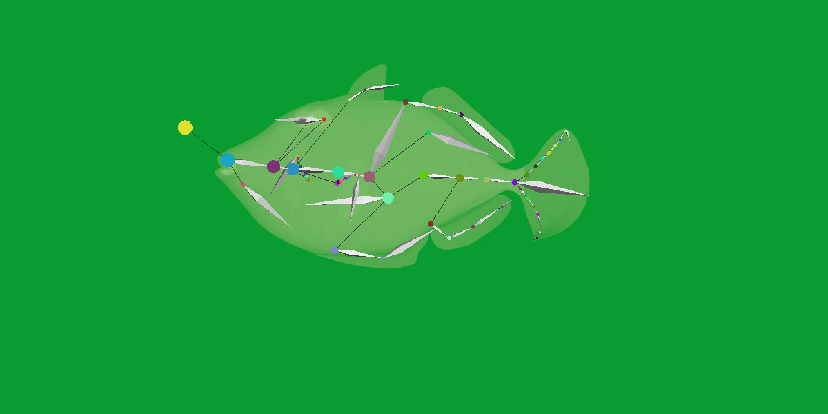 Clown Trigger Fish Low-poly 3D model_28