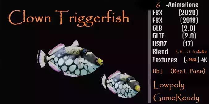 Clown Trigger Fish Low-poly 3D model