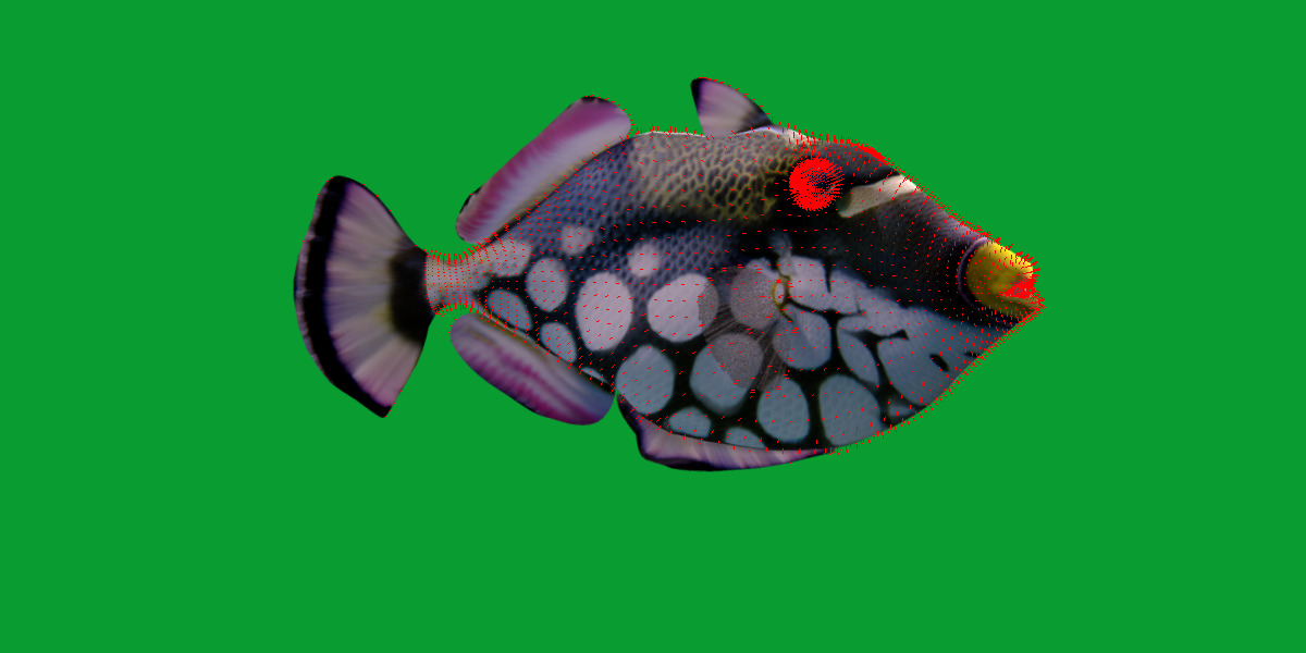 Clown Trigger Fish Low-poly 3D model_18