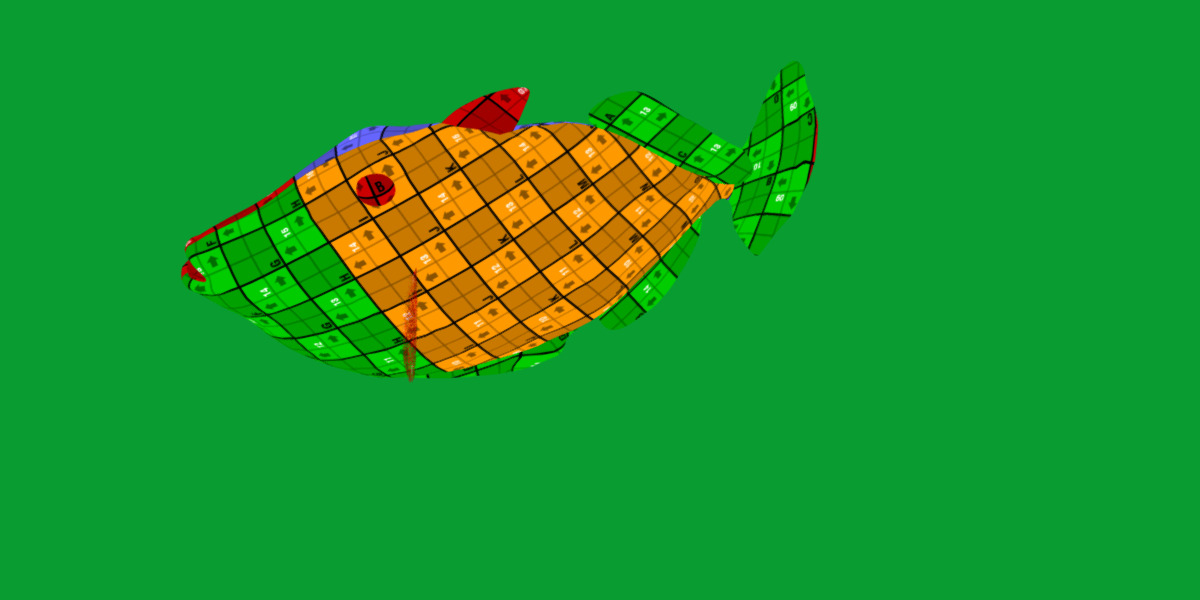 Clown Trigger Fish Low-poly 3D model_21