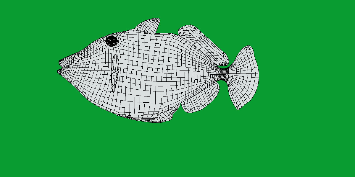 Clown Trigger Fish Low-poly 3D model_16