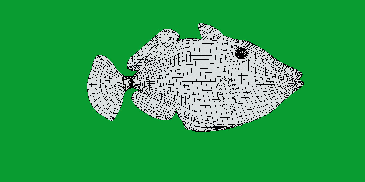 Clown Trigger Fish Low-poly 3D model_15