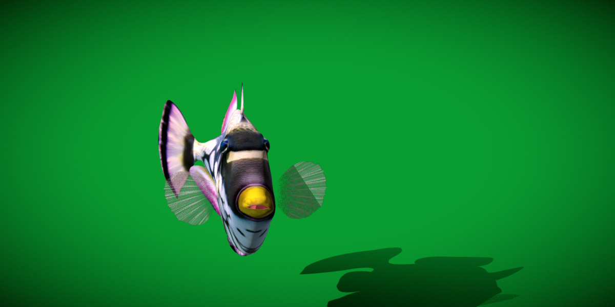 Clown Trigger Fish Low-poly 3D model_3