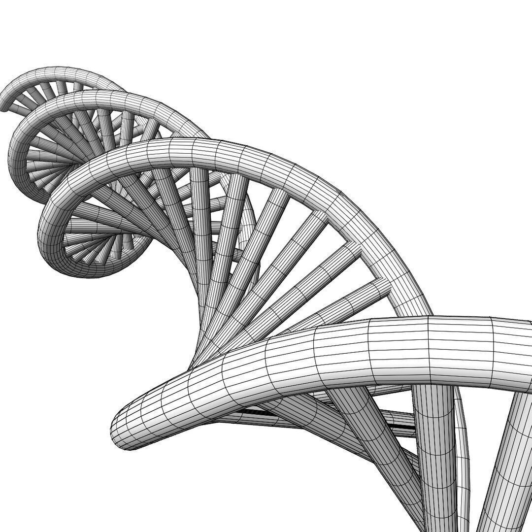 3D DNA model Low-poly 3D model_6