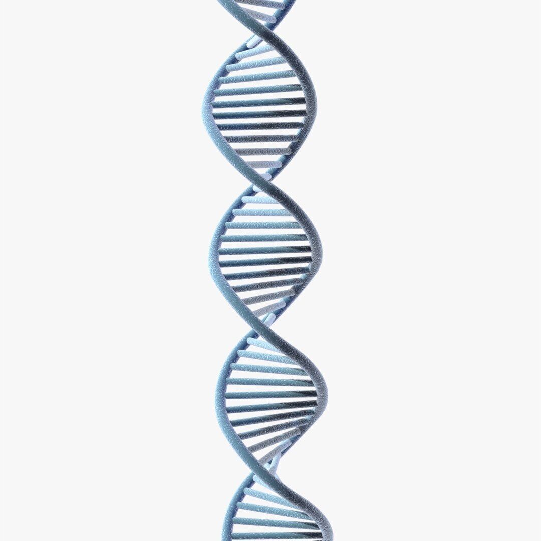 3D DNA model Low-poly 3D model_2