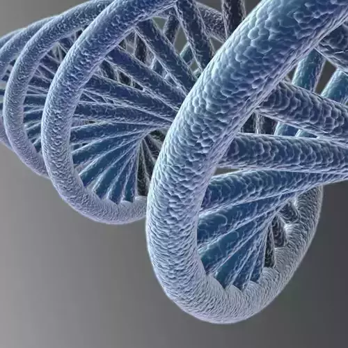 3D DNA model Low-poly 3D model