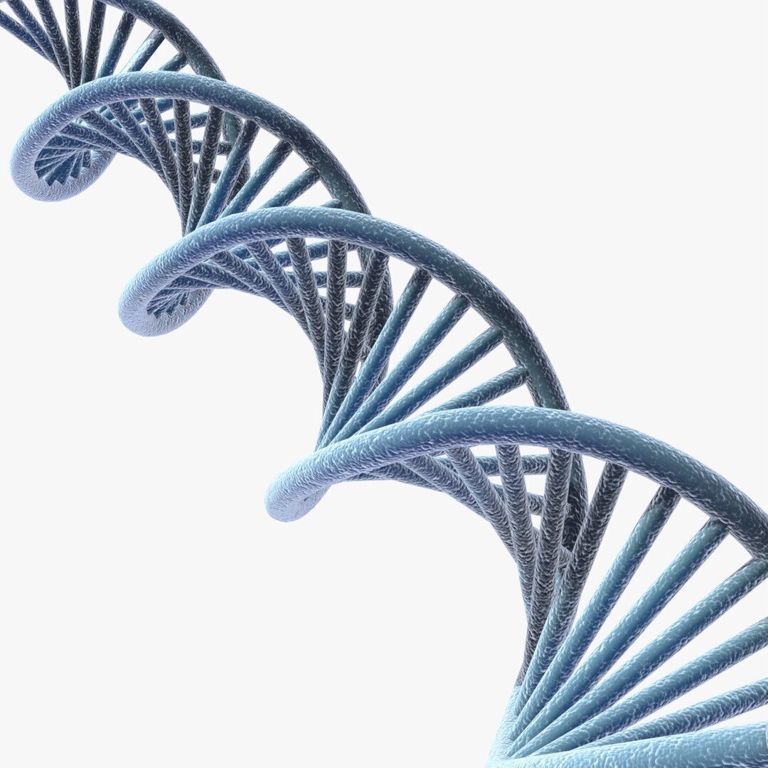 3D DNA model Low-poly 3D model_1
