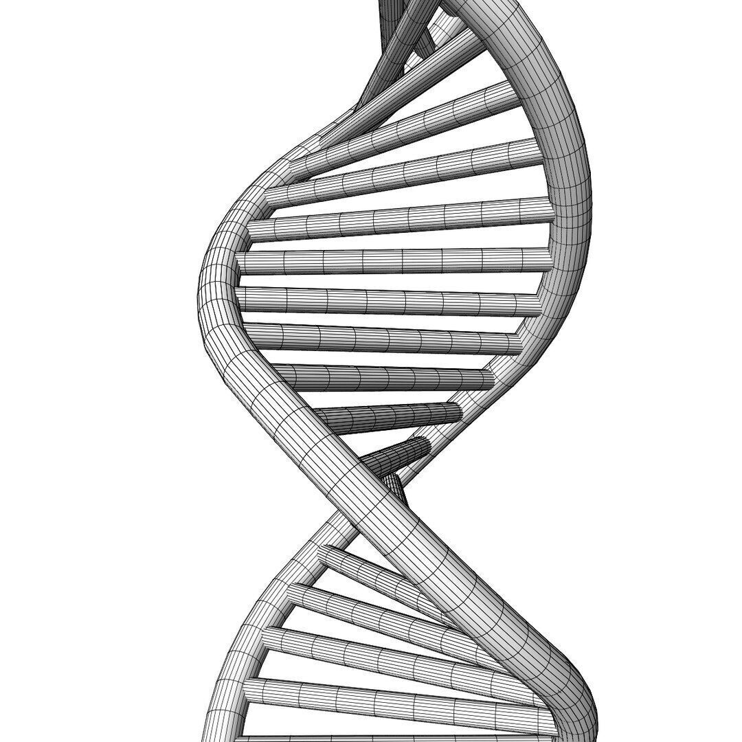 3D DNA model Low-poly 3D model_8