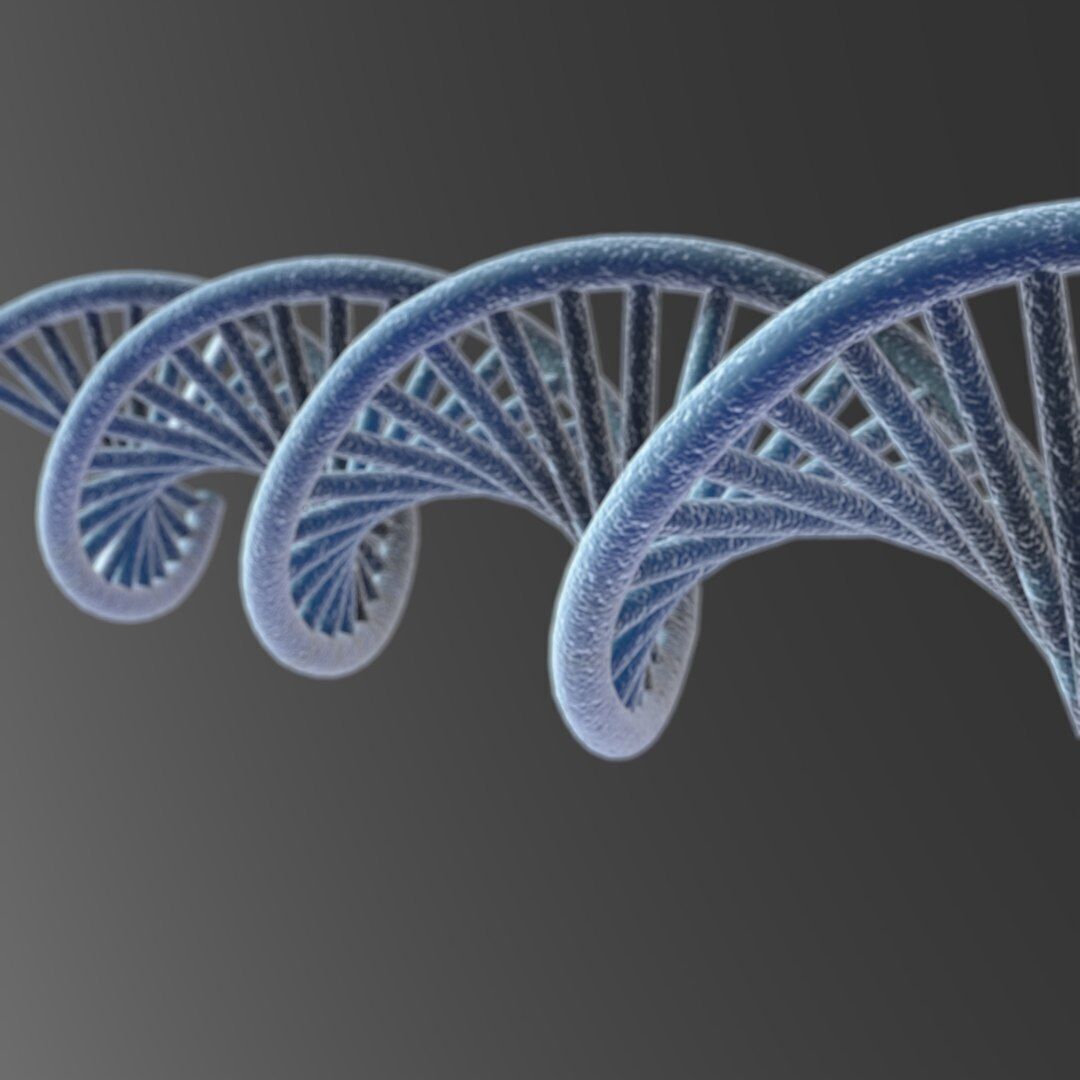 3D DNA model Low-poly 3D model_4