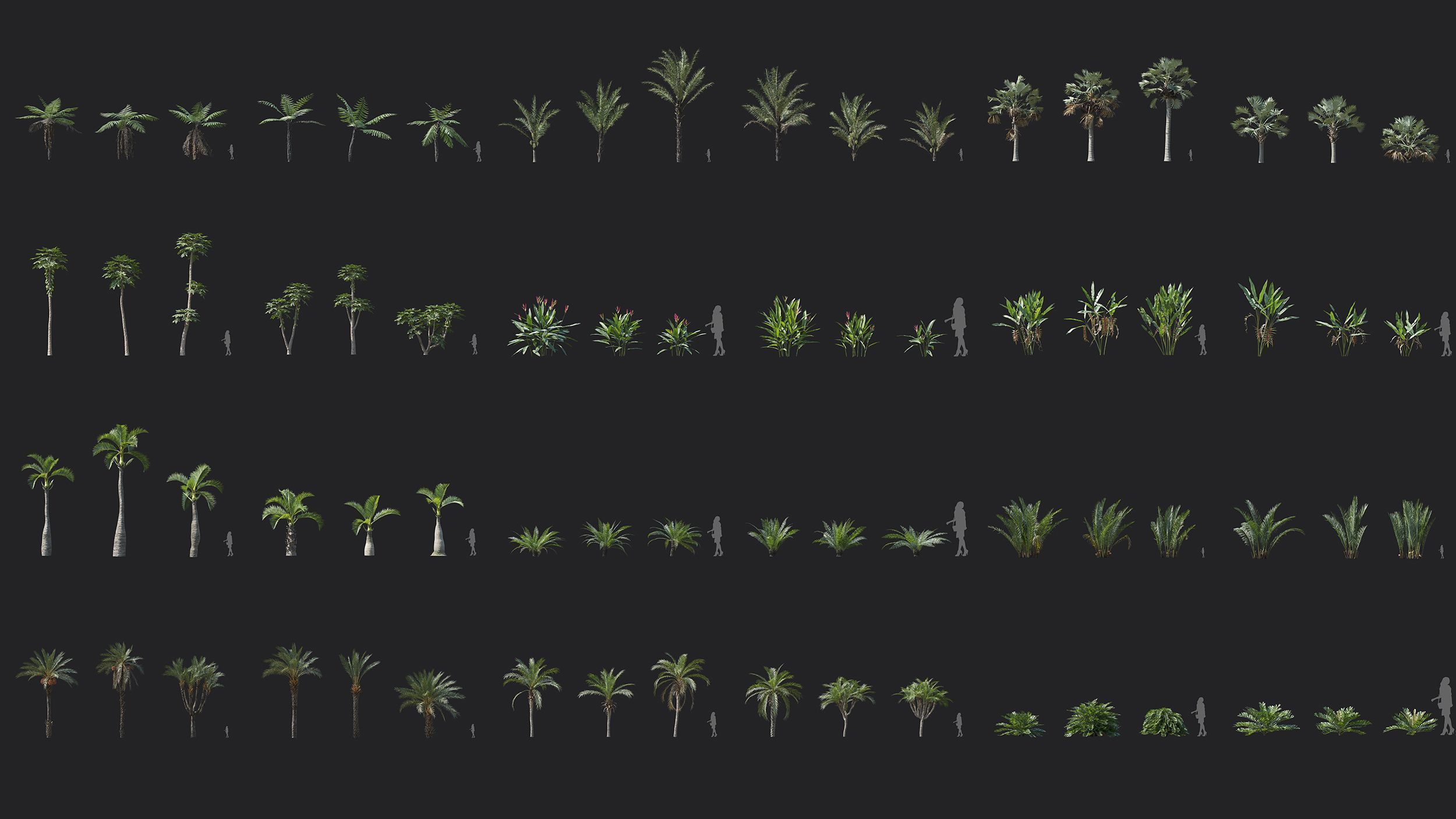 Maxtree Plant Models Vol 165 - Mesh 3D model_4