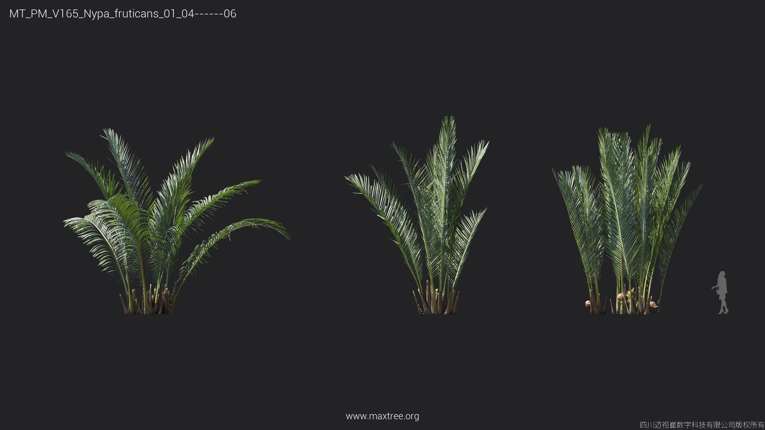 Maxtree Plant Models Vol 165 - Mesh 3D model_22