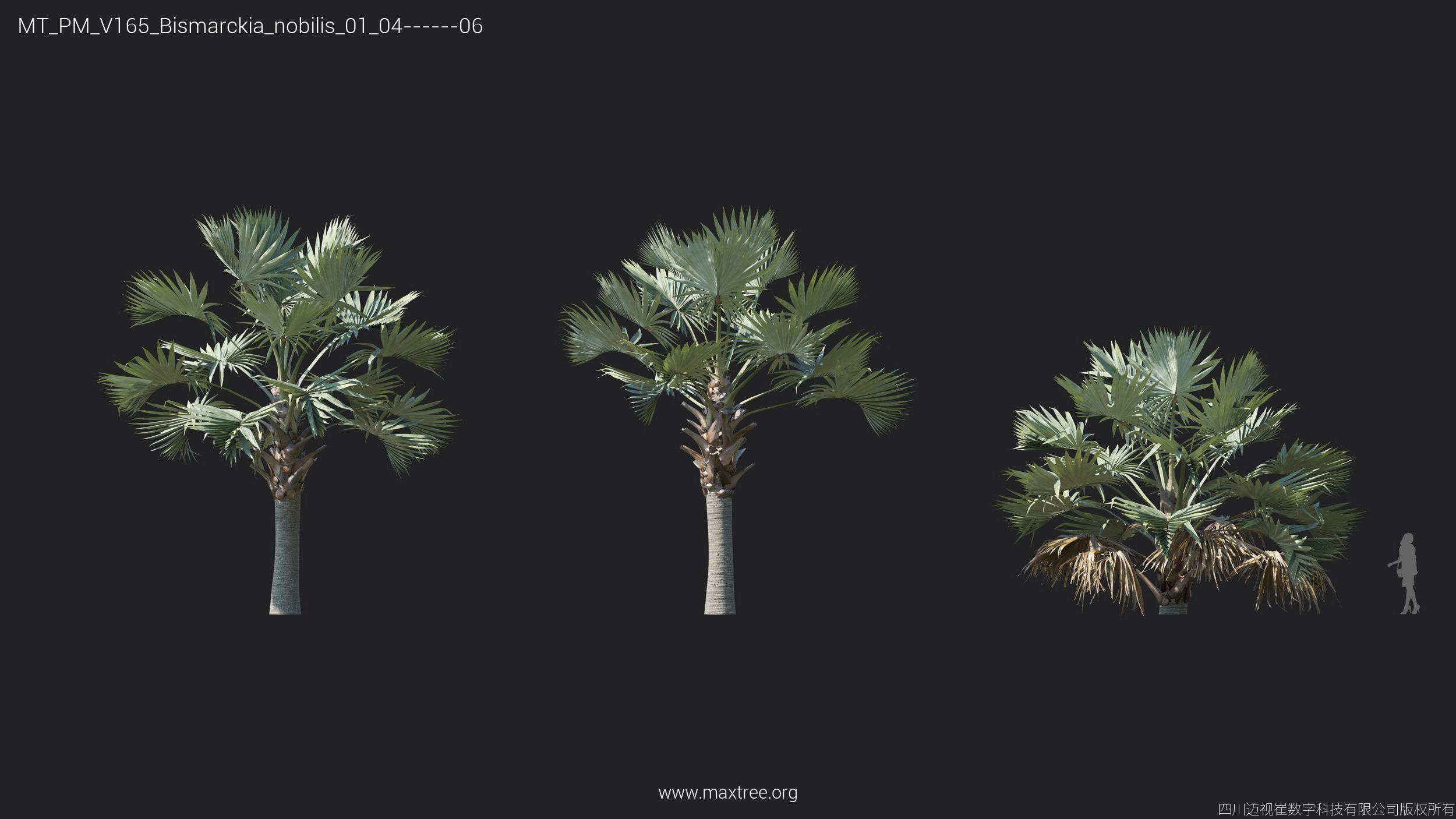 Maxtree Plant Models Vol 165 - Mesh 3D model_10