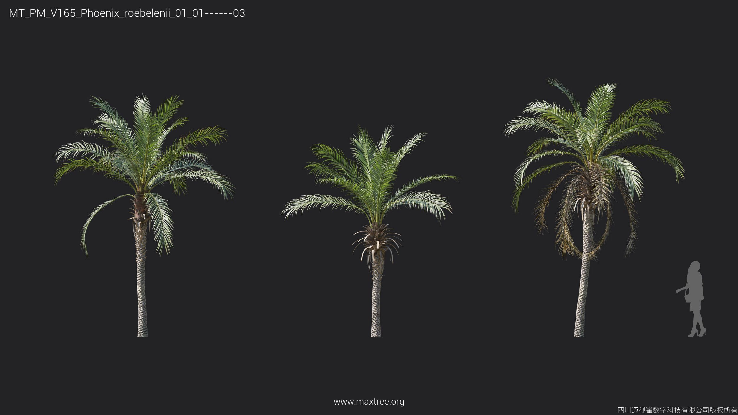 Maxtree Plant Models Vol 165 - Mesh 3D model_25