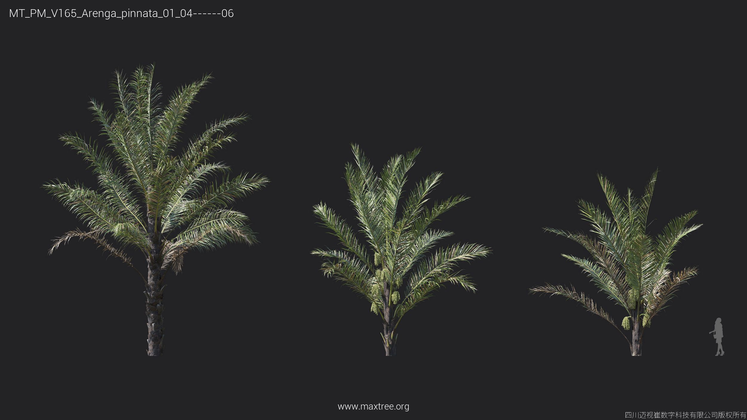Maxtree Plant Models Vol 165 - Mesh 3D model_8