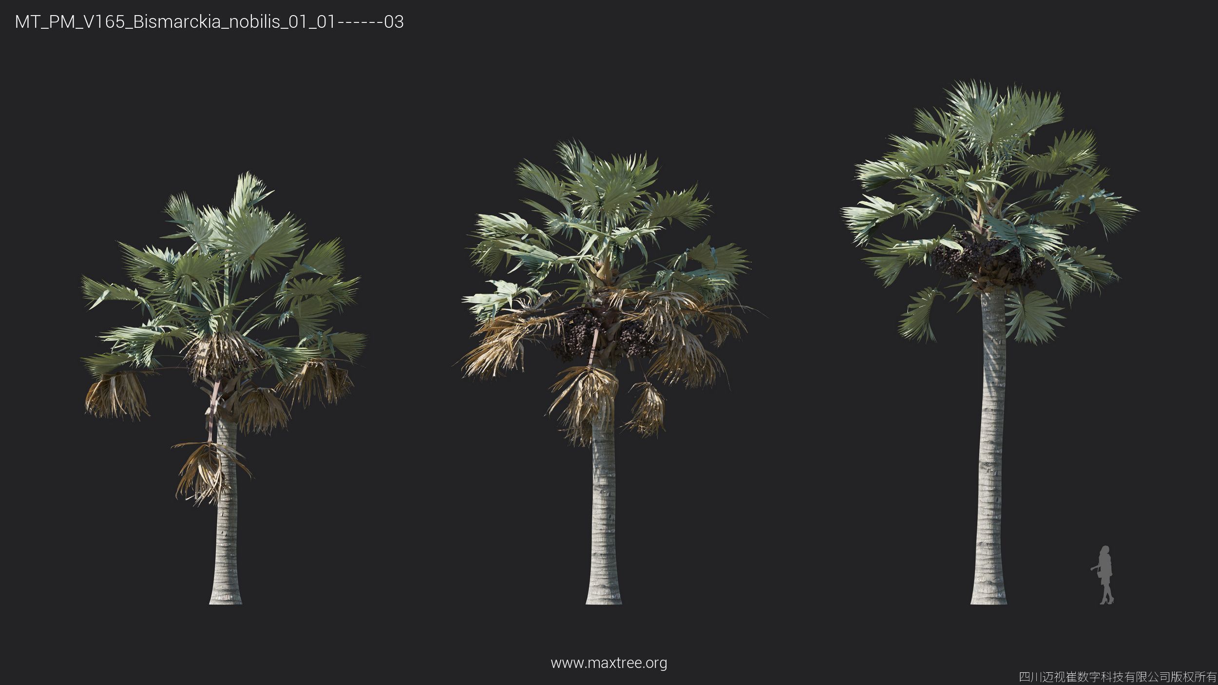 Maxtree Plant Models Vol 165 - Mesh 3D model_9