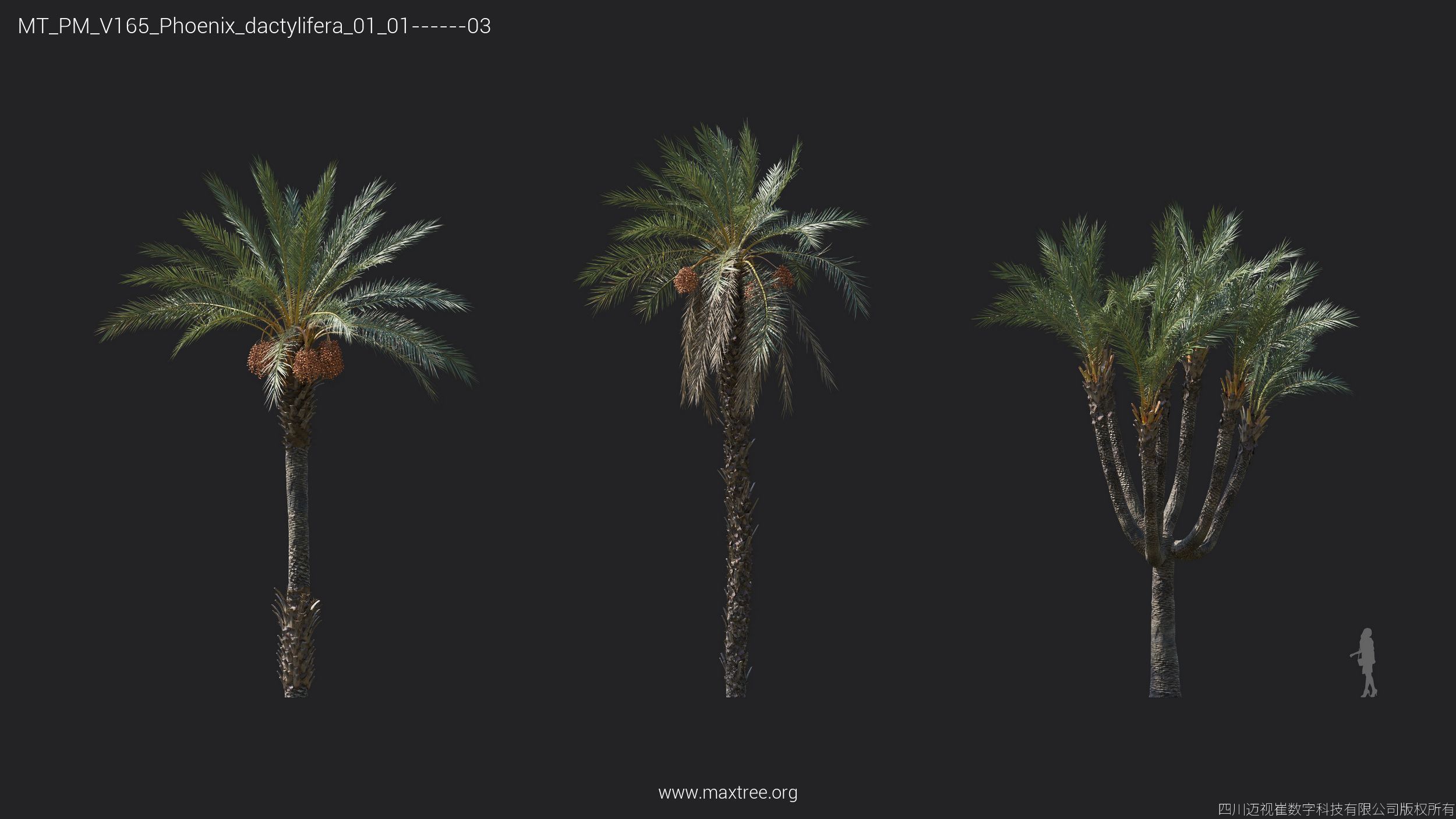 Maxtree Plant Models Vol 165 - Mesh 3D model_23