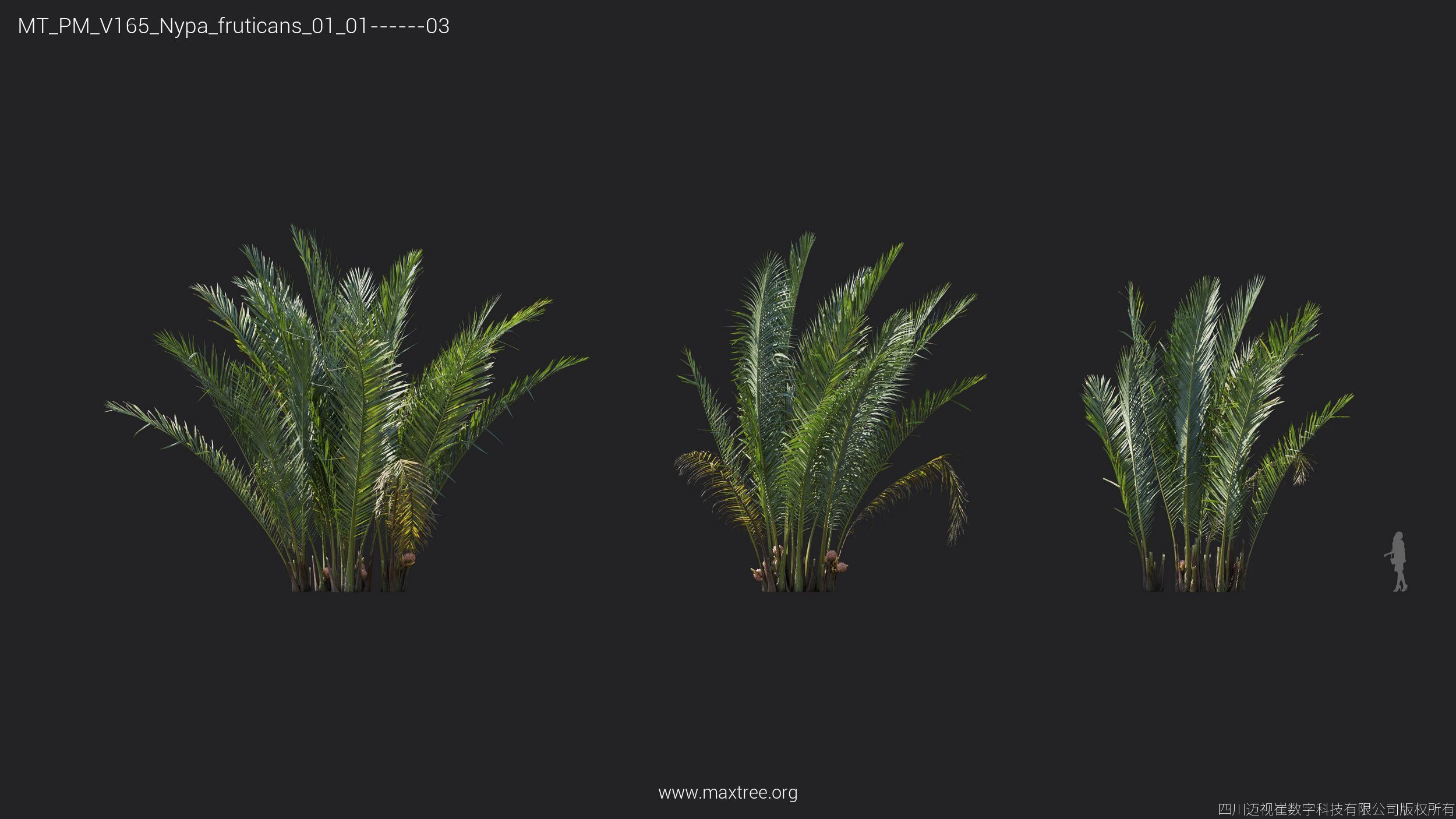 Maxtree Plant Models Vol 165 - Mesh 3D model_21