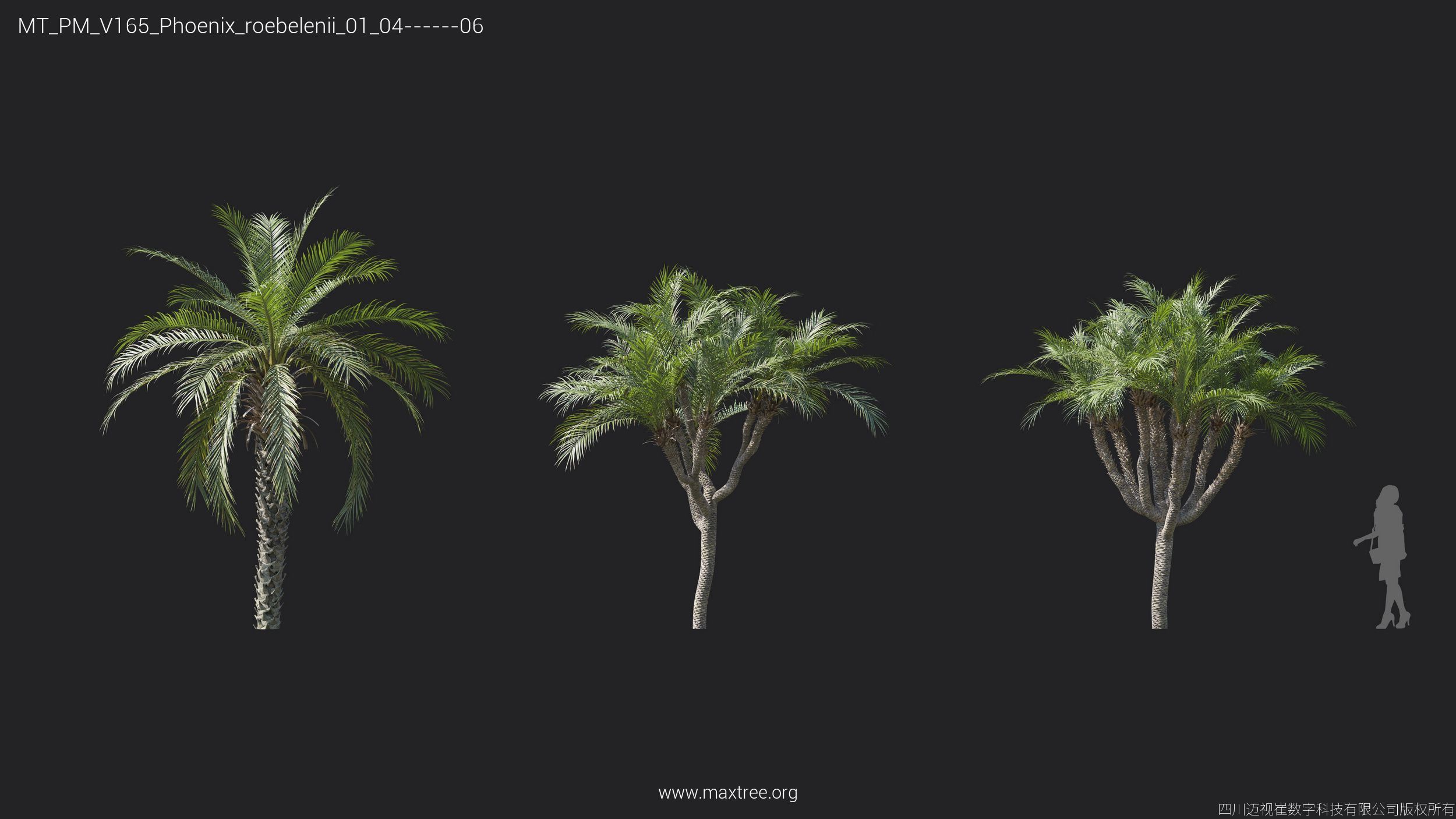 Maxtree Plant Models Vol 165 - Mesh 3D model_26