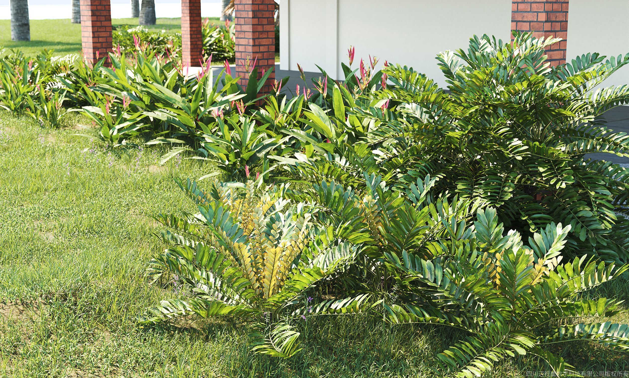 Maxtree Plant Models Vol 165 - Mesh 3D model_2