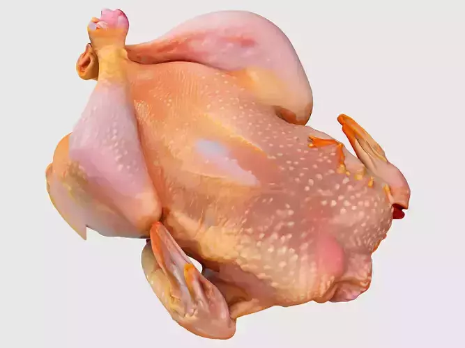 chicken