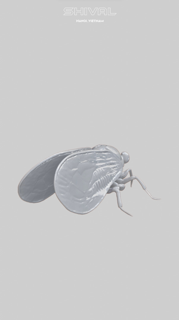 Cicadas 3D Free Free 3D print model_3