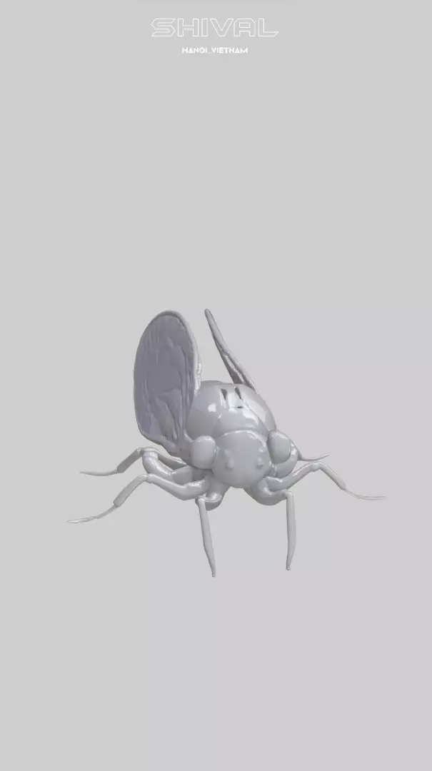 Cicadas 3D Free Free 3D print model_0