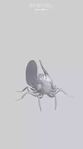 Cicadas 3D Free