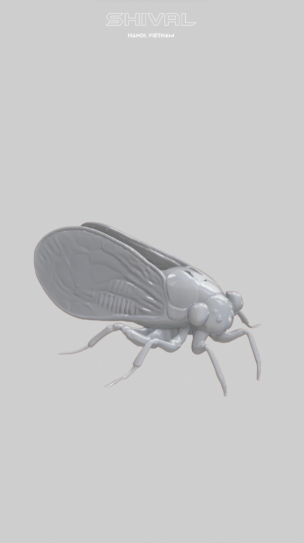Cicadas 3D Free Free 3D print model_1