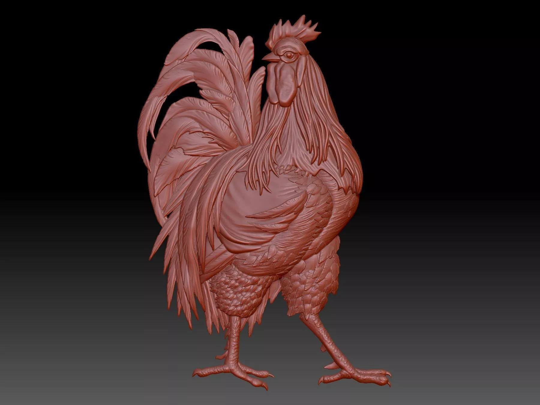 bird 3D print model