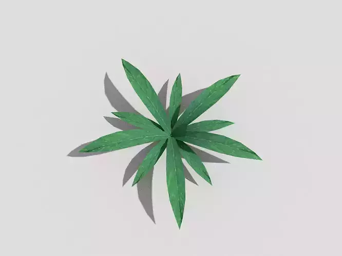 Low poly Plant leaf