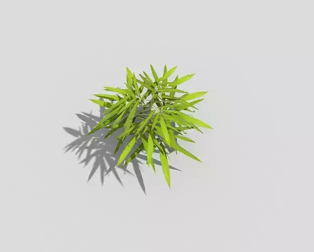 Low poly Plant bamboo