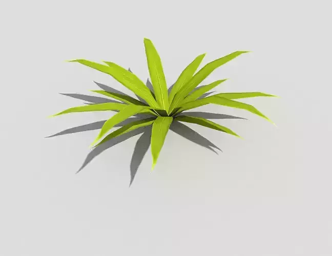 Low poly Plant
