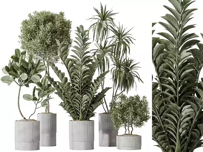 AV Indoor plants set 198