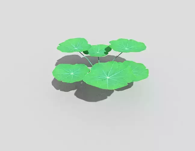 Low poly Plant lotus