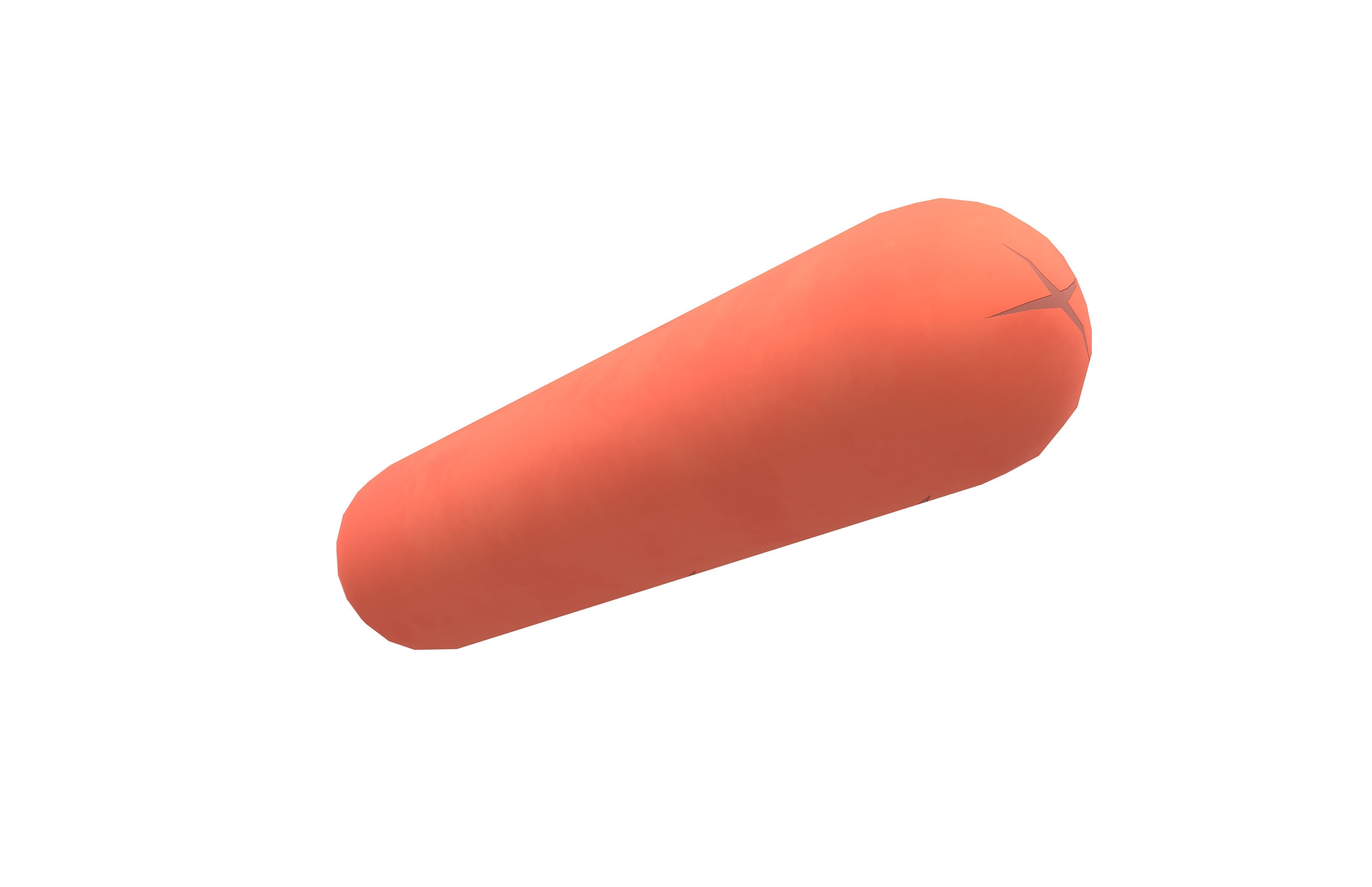 Sausage v1 001 Low-poly 3D model_3