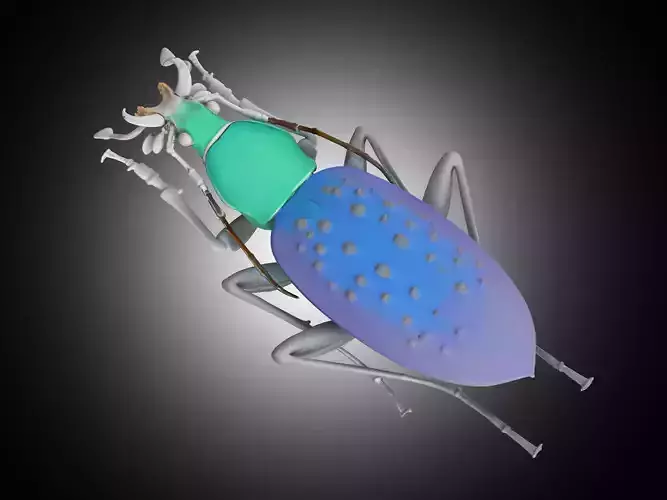Insect 3D model