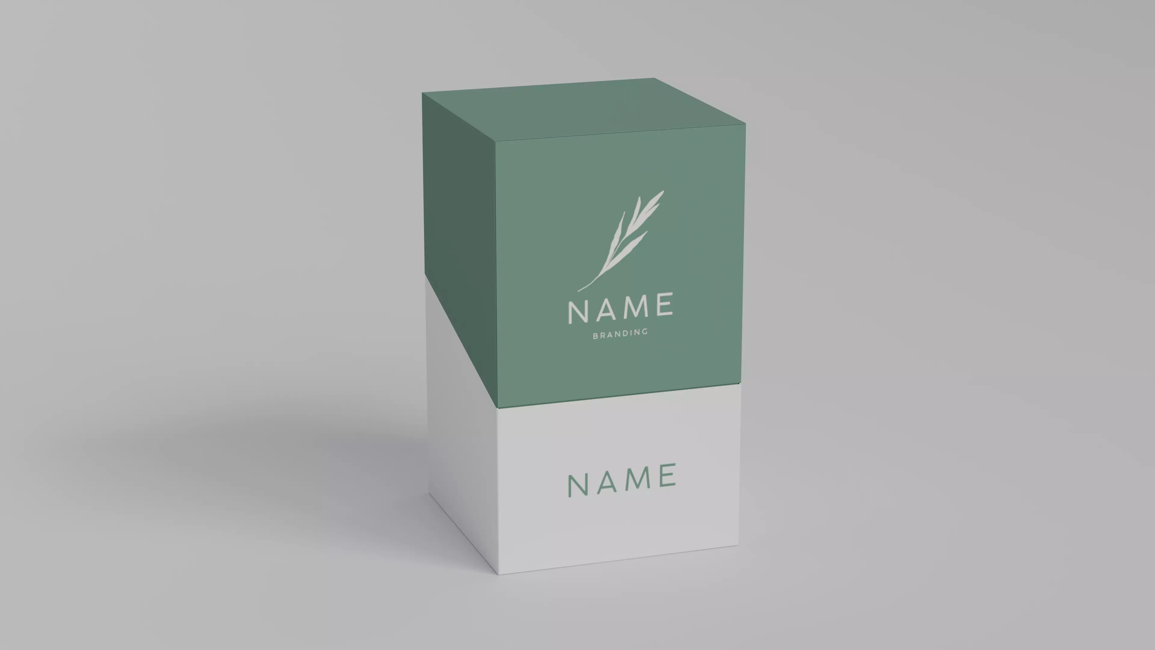 Box and Bottle  3D model_0