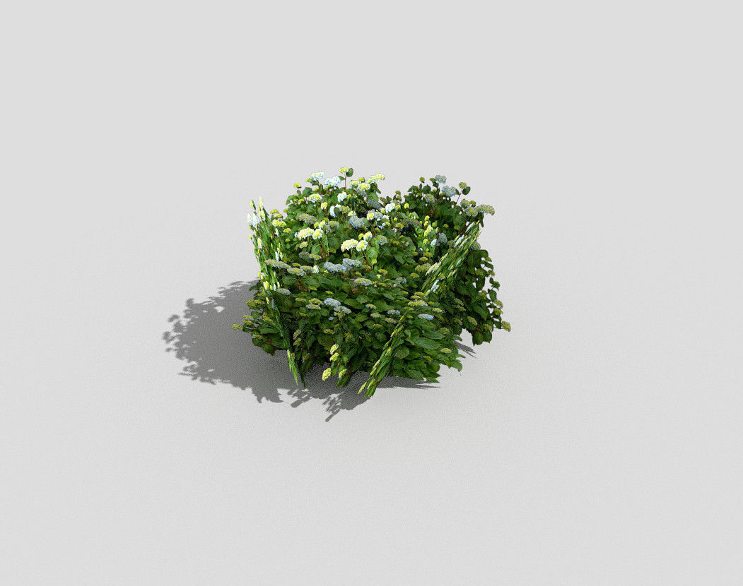 low poly shrub plant Low-poly 3D model_1