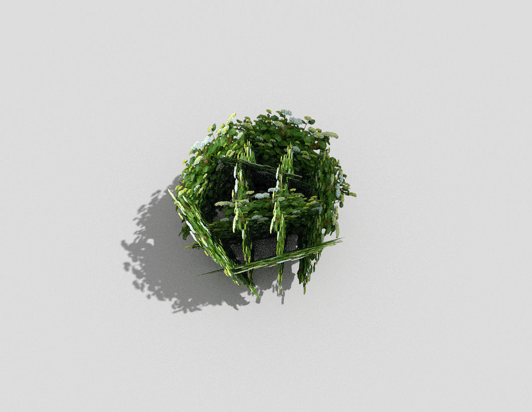 low poly shrub plant Low-poly 3D model_2