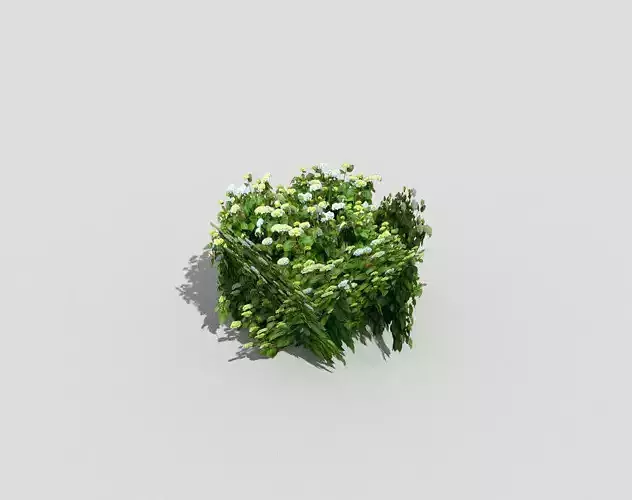 low poly shrub plant