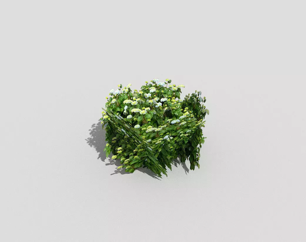 low poly shrub plant Low-poly 3D model_0