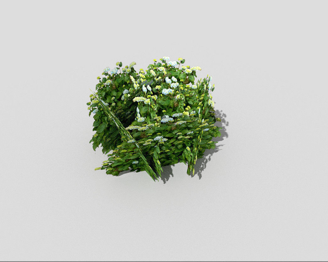 low poly shrub plant Low-poly 3D model_3
