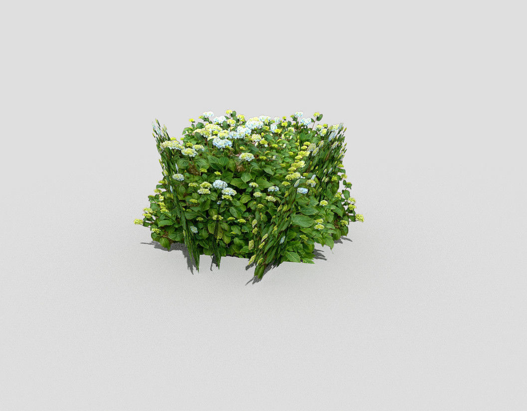 low poly shrub plant Low-poly 3D model_5