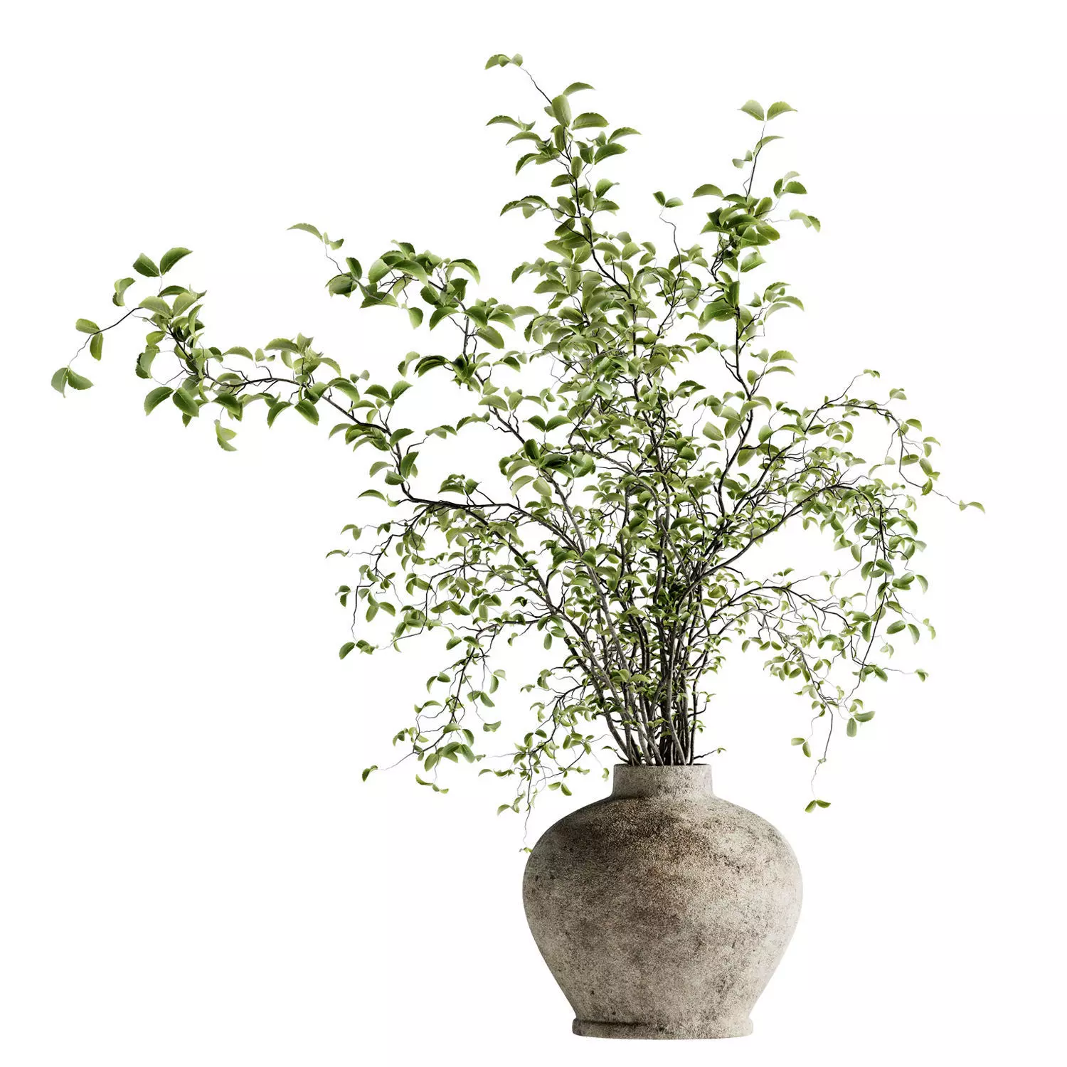 Arbor Bouquet 17 3D model_0