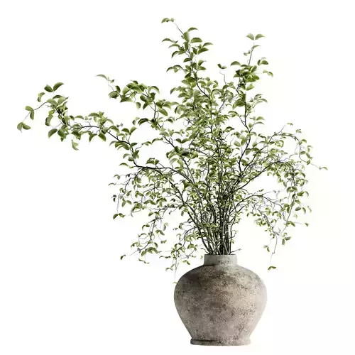 Arbor Bouquet 17  3D model