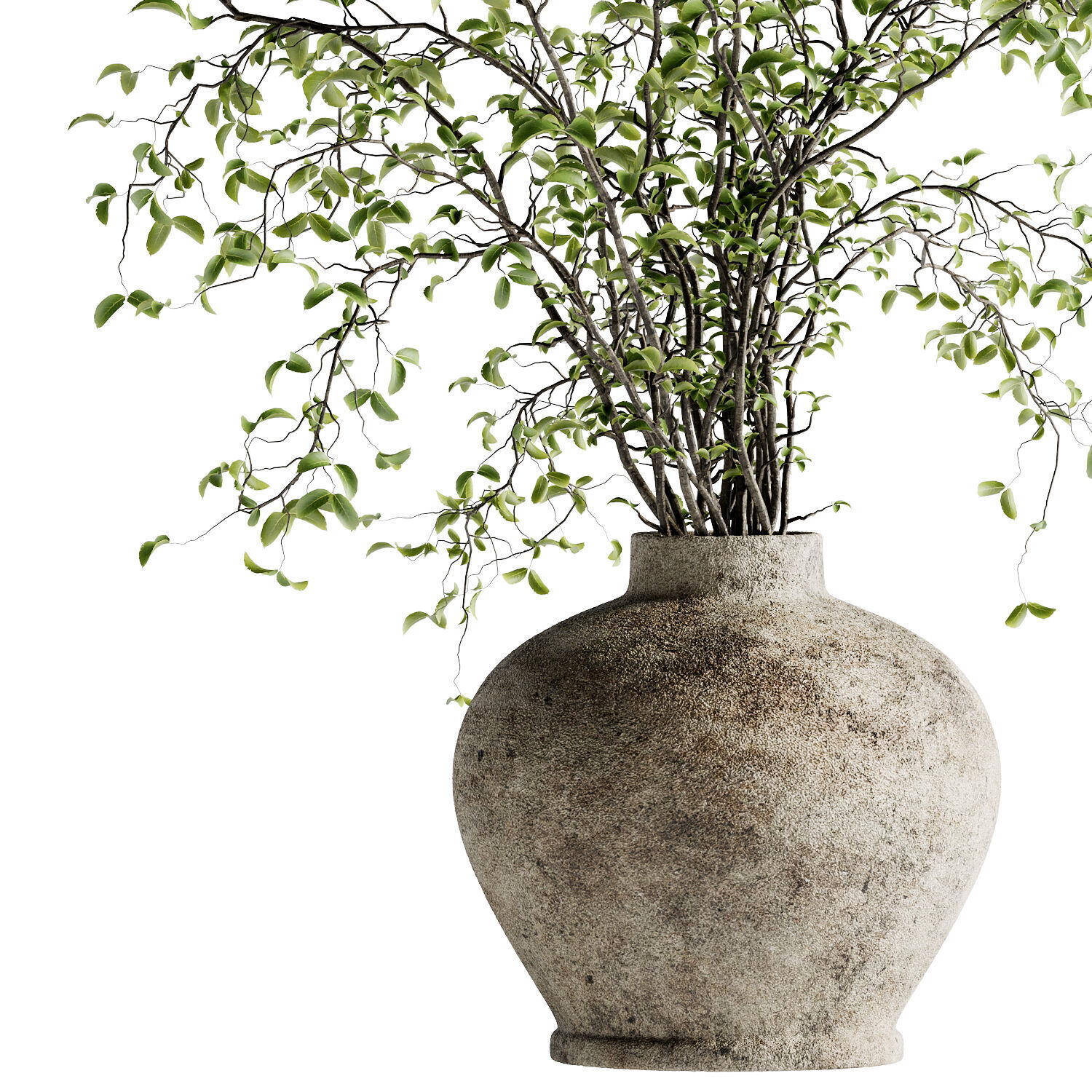 Arbor Bouquet 17 3D model_1