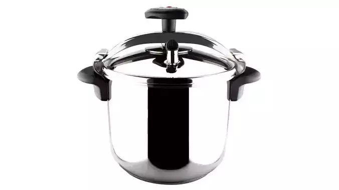 Stainless Steel Pressure Cooker